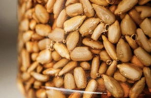 Горіхи та насіння в меду