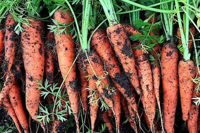 Блог - 100shop - 3