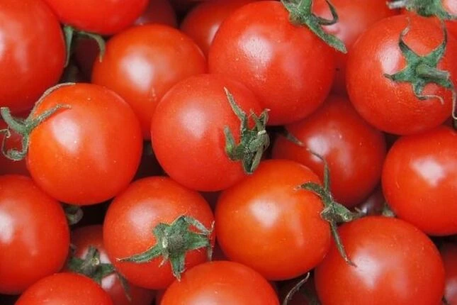 Блог - 100shop - 5