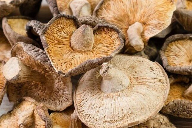 Блог - 100shop - 11