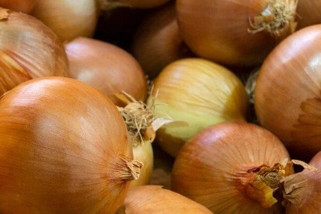 Блог - 100shop - 6