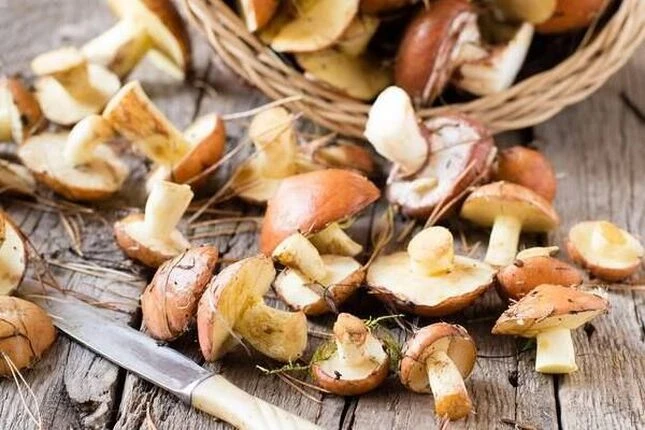 Блог - 100shop - 23