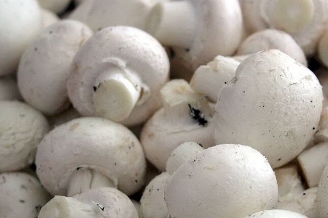 Блог - 100shop - 22