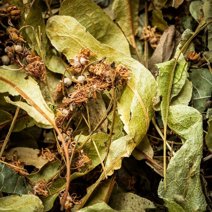 Чай MOL'FAR Зілля з лісу 50г - 100shop - 3