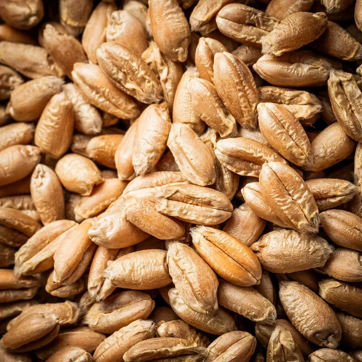 Пшениця ядриця 400г - 100shop - 3